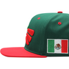 México Escudo Gorra N21MEX04