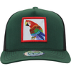 FT-Guacamaya Gorra con Maya Ferreti