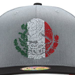 Culiacan Escudo de Mexico Bordado Gorra Ferreti