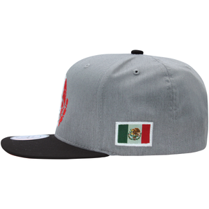 Culiacan Escudo de Mexico Bordado Gorra Ferreti