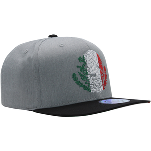 Culiacan Escudo de Mexico Bordado Gorra Ferreti