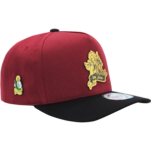 Gorra Culiacán FERRETI San Juditas FT39