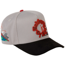 Cargar imagen en el visor de la galería, JC Hats University of Live CURVED Gray
