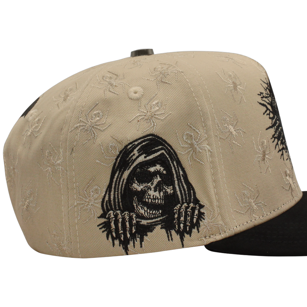 FT169 The Skull Lateral