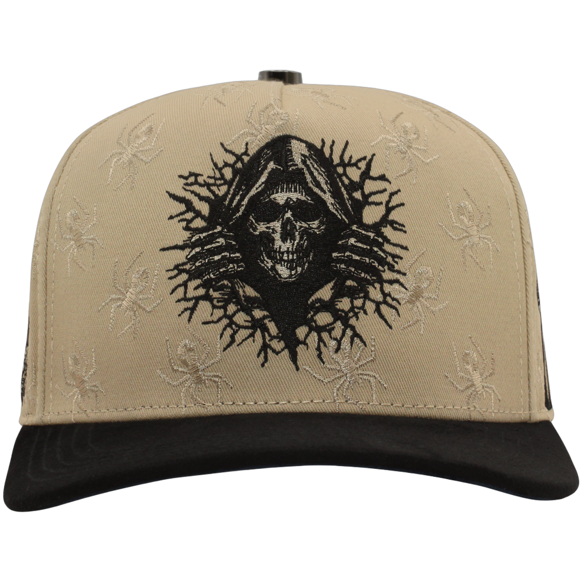 FT169 The Skull Frontal
